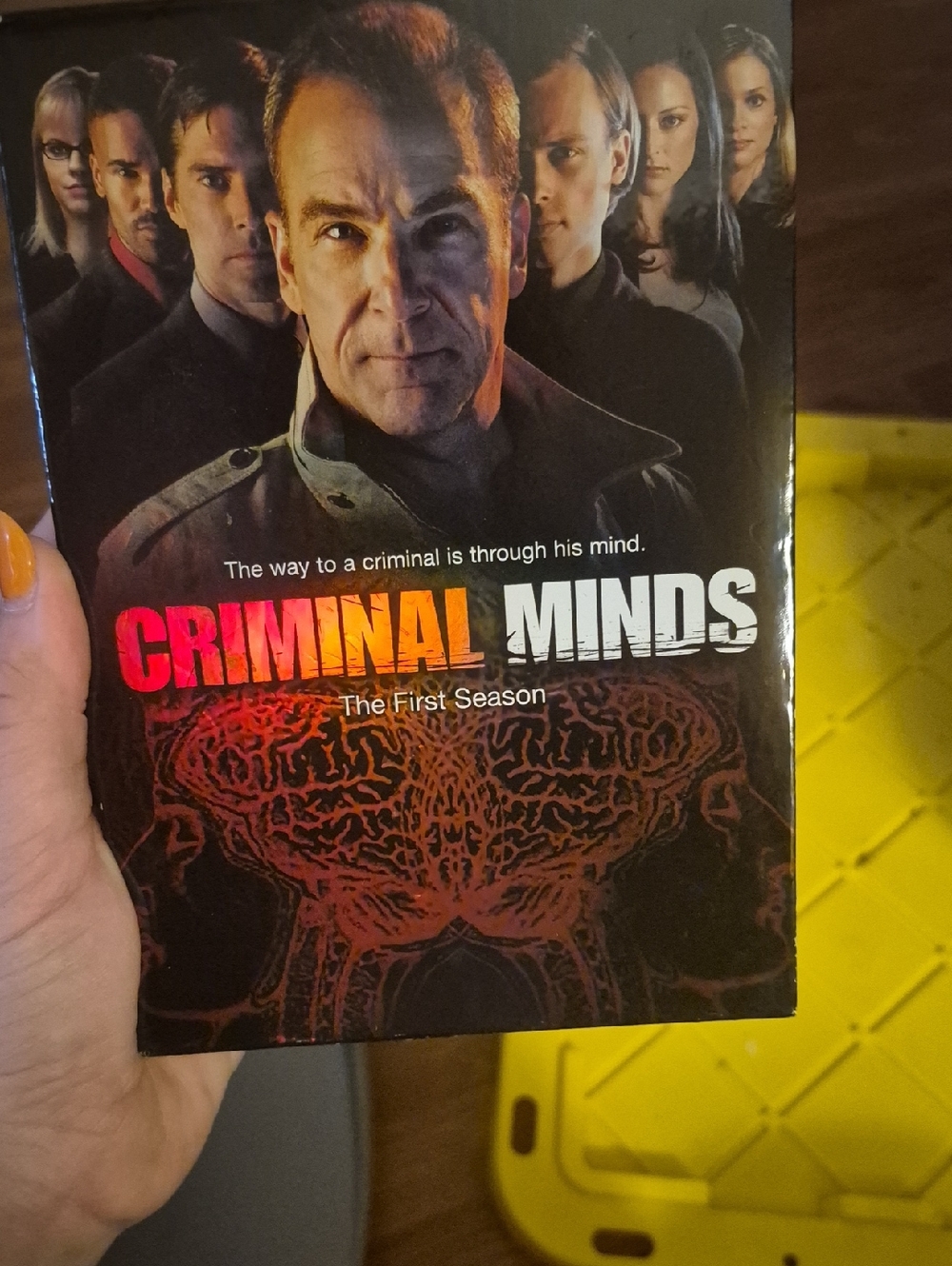Criminal Minds - The First Season DVD Box Set (Black, Red)